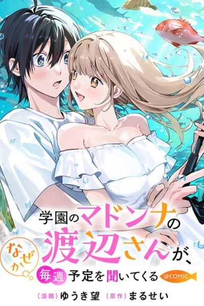 The School's Madonna, Watanabe-san, for Some Reason Asks My Schedule Every Week