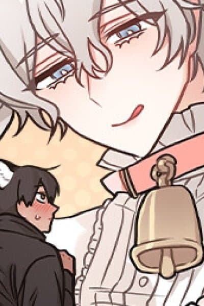 Mr Tiger, Thankyou for the meal