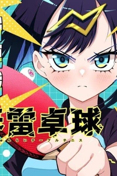 Shunrai Table Tennis