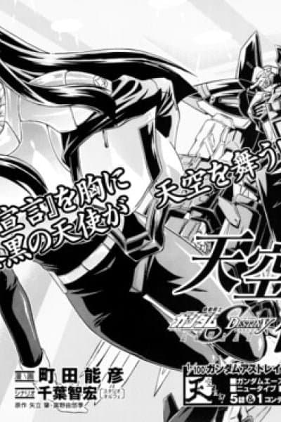 Mobile Suit Gundam SEED DESTINY ASTRAY -She Who Walks in the Sky-