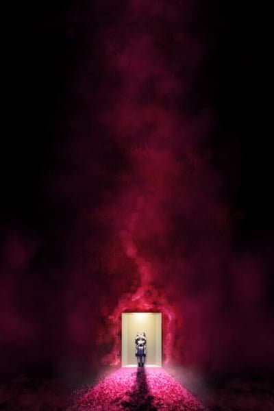 Kemono Friends - Raccoon-san Mansion (Doujinshi)