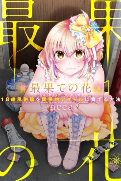 Saihate no Hana: 18-sai Fuuzokujou wo Kokuminteki Idol ni Sodateru Houhou