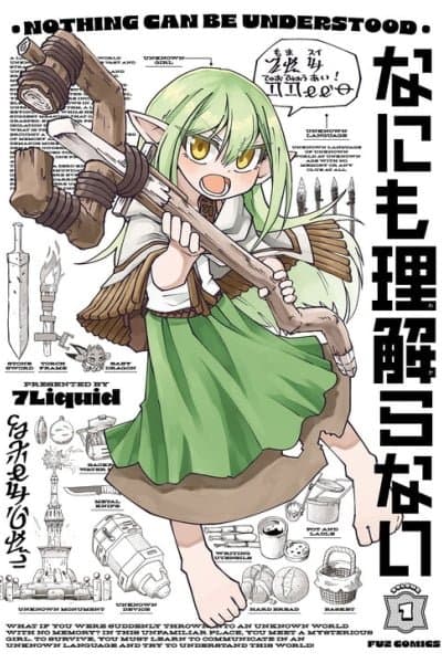 Nothing Can Be Understood