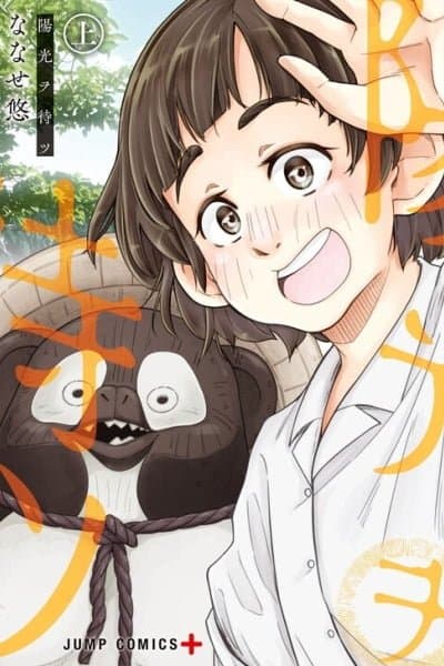 Waiting for the Sunlight