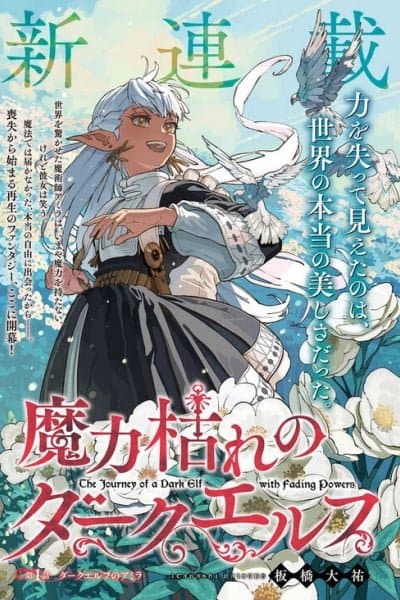 The Journey of a Dark Elf with Fading Powers