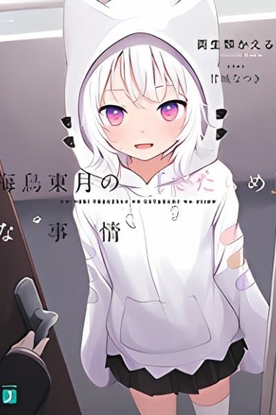 Umidori Tougetsu no "Detarame" na Jijou (Novel)