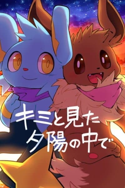 In the Sunset We Saw