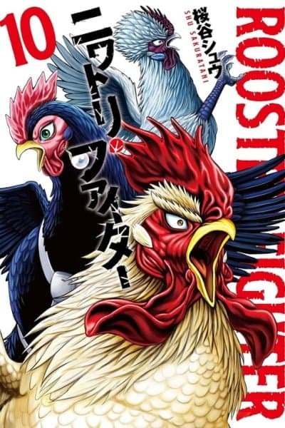Rooster Fighter