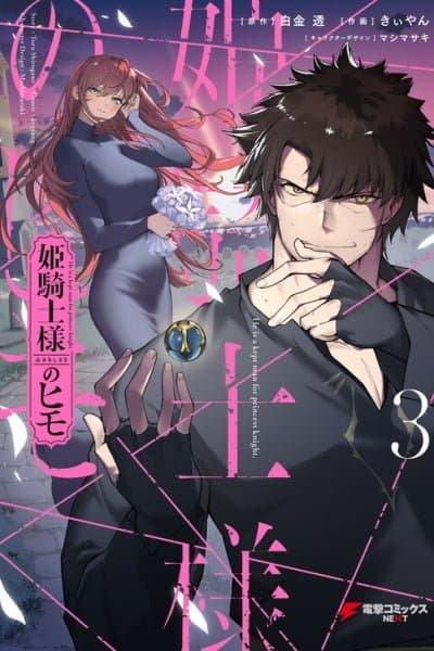 The Kept Man of the Princess Knight