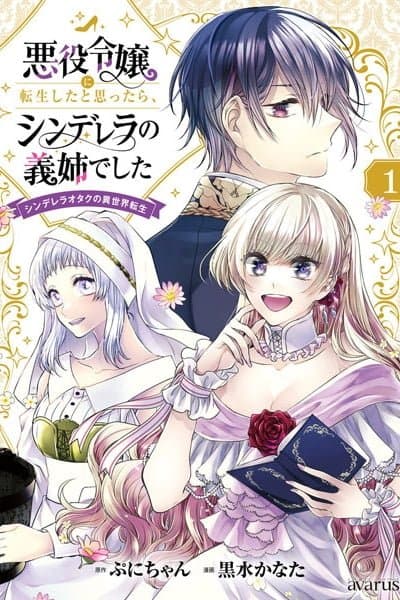 I Thought I Reincarnated as a Villainess, but It Turned Out to Be Cinderella's Step-Sister: Cinderella Otaku's Reincarnation in Another World