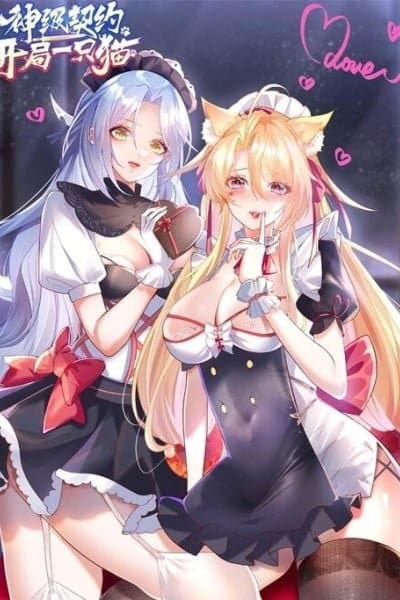 Divine Contract: Starting With A Cat