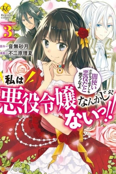 I'm Not a Villainess!! Just Because I Can Control Darkness, Doesn't Mean I'm a Villain