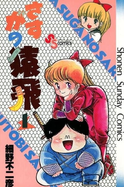 The Academy of Ninjas