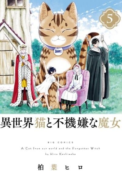 A Cat from Our World and the Forgotten Witch