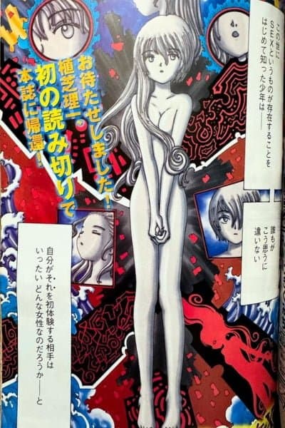 Mysterious Girlfriend X