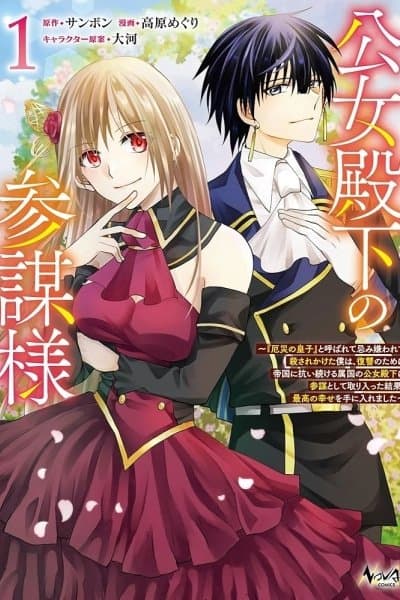 Her Highness the Princess's Strategist